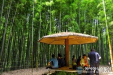 대나무 숲에서 쉬고 가세요