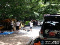 밀양지역 40여개 오토캠핑장 모두 불법