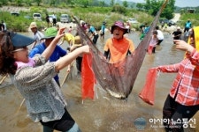 낮에는 피래미와 놀고 밤에는 쏟아지는 별빛을...울진 피래미축제