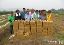 수원시 권선구 입북동 새마을부녀회, 사랑의 감자캐기