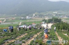 고창군 부안면, 질마재 문화축제 준비 시작