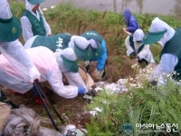 계곡신기애정회 | 고창군 고수면, 신기계곡 - 고수천 구간 환경정화