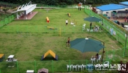 남구, 애견운동공원 야간개장 시작