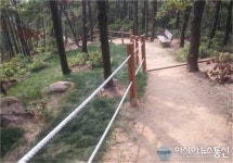 광교·칠보산 등산로 정비 완료!