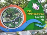영양군 청소년수련원 야영장 open