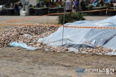 뾰족한 철근! 안전불감증 영월 동강 축제