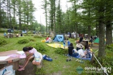 정선군에 가면 시원함과 볼거리가 넘쳐요~