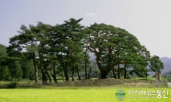 괴산군, 왕송장학회 22년째 이어져