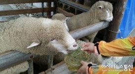 맛있게 잘 먹겠습니다
