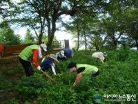 진해구 자은동 으뜸마을만들기위원회 등산로 정비도 으뜸