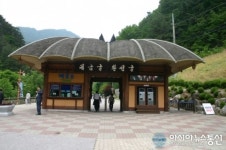 삼척 대이동굴 환선제 15일 개막