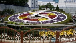 꽃:역FLOWERSTATION | 대전역에 꽃시계 설치