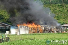 제천시 흑석동 버섯재배사 화제