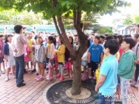 인천경원초, 학교 숲 체험교실 열어