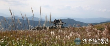 합천 황매산 억새 절정