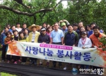 경산교육지원청 직원들, 대추 수확 작업 구슬땀