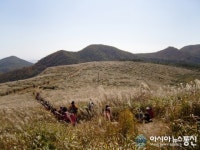 억세 군락지 경주 무장산 등산 쉬워진다