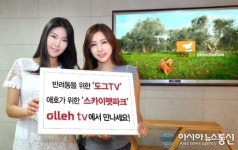 개가 보는 채널 도그TV, 애완인 위한 스카이펫파크 런칭