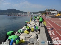 진해구, 단풍철 맞아 대대적인 자연정화활동