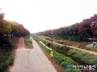 안산 화정천, 오색단풍물과 갈대가 환상