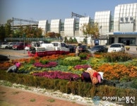 아산 배방읍, 가을을 느껴보세요~