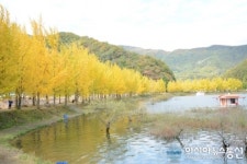 가을빛 눈부신 문광저수지