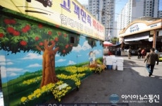 동대문구, 답십리현대시장 환경개선 벽화그리기 및 녹화사업 실시