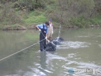 산청군, “은어풍년 기대 되네!”