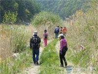 봉화군, 30일 낙동정맥트레일 걷기대회 개최