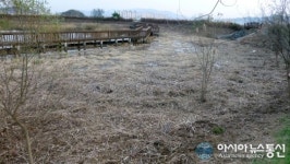 솔방죽 10년노력 ‘도로아미타불’