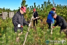 울진군 덕신해안방제림서 창조 나무가꾸기사업 실시