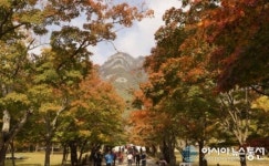 변산반도국립공원 산불예방 탐방 통제