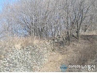 영월군,  ”영월정양산성의 보존 및 활용방안 학술심포지엄” 개최