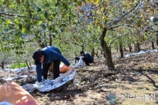 남부산림청, 산촌생태마을 가꾸기 행사