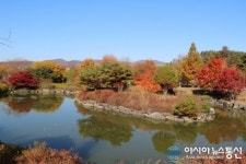 충남 금강수목원, “환상의 오색단풍”