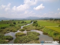 부여군, 구룡천 정비사업 추진