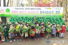 구로구, IC 녹지대에서 배추 키워 불우이웃 돕기
