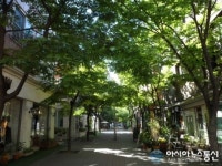 용인시, 문화의 거리 보정동 카페거리 지정