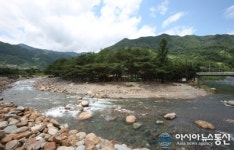 산청 대포숲, ‘전국 10대 물놀이 안전 명소’ 선정