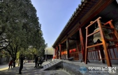 중국 무술 하면 소림사