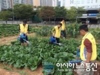 영등포구, 서울시 농업기술센터 주관 ‘2014 하반기 최고텃밭상’ 수상