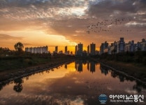 안산천 하늘을 아름답게 수놓은 노을