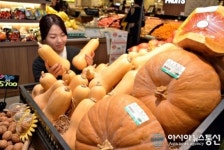 대백 프라자점, 땅콩 닮은 땅콩 호박 등장 눈길