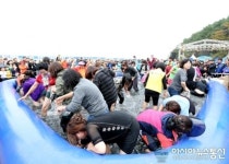 서산 중왕리 뻘낙지 먹물축제, 이미지 개선평가‘최우수’