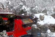 해맞이ㆍ온천욕ㆍ울진대게...울진이 선사하는 을미년의 황홀