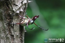 경기도의 생생한 자연 생태