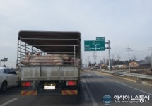 구제역 확산방지 총력, 방역의 한계점