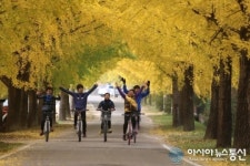 자전거타기 좋은 도시, 안전한 거창으로 오세요!