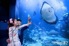 아쿠아플라넷 일산, 네버엔딩 베케이션 패키지 판매