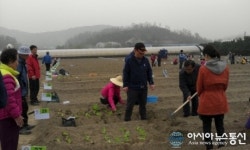 금천구, 주말농장 회원 모집